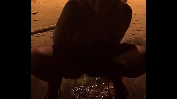 Público exibicionismo, desejo ardente e selvagem de fêmea exposta em público, demarcando território com seus hormônios e aroma, cadela receptiva..